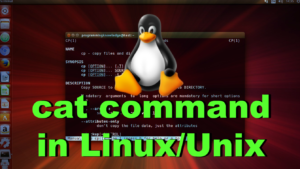 cat command in Linux Unix